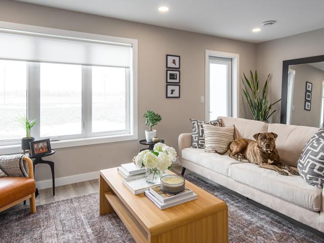 Apartment for rent in Ste. Anne, Manitoba