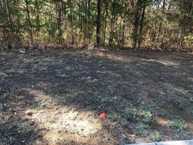 Land for sale in Tennessee