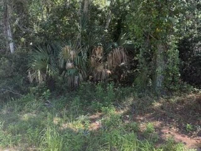 Land for sale in Carrabelle, Franklin County