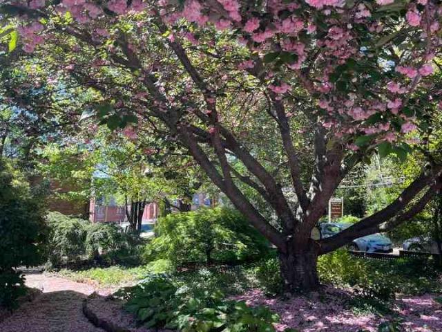 Apartment for rent in Asheville, North Carolina