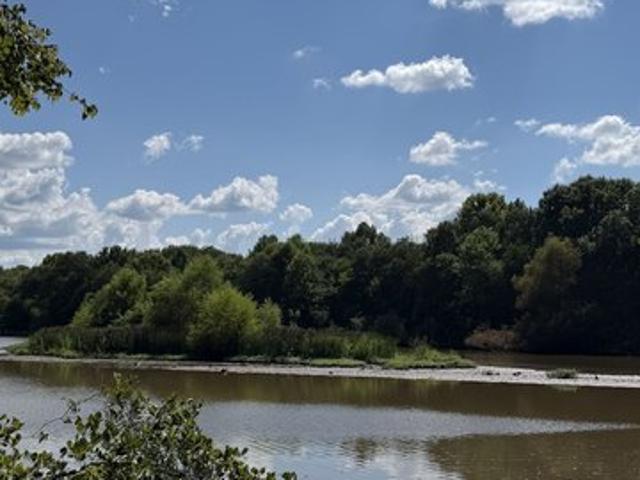 Land for sale in Eatonton, Georgia