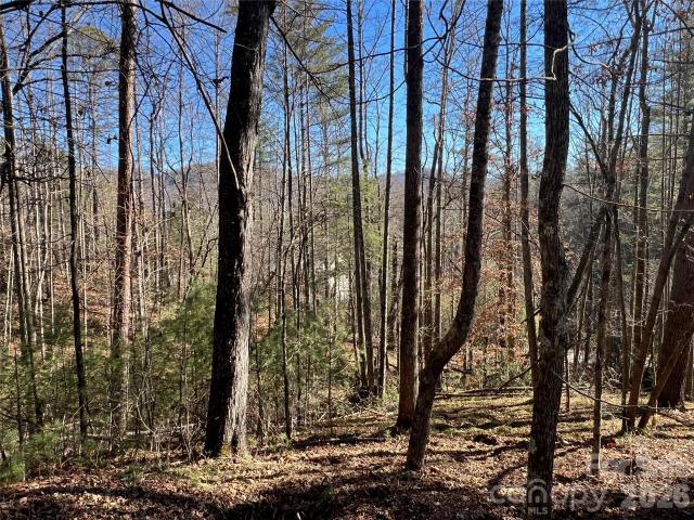 Land for sale in Hendersonville, North Carolina