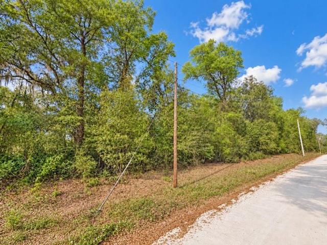 Land for sale in Interlachen, Putnam County
