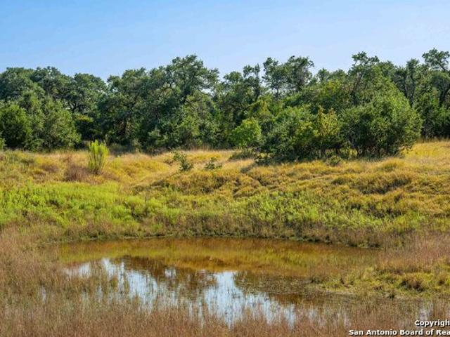Farm for sale in Blanco, Texas