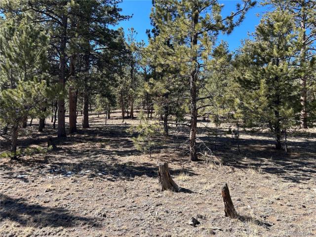 Land for sale in Hartsel, Park County