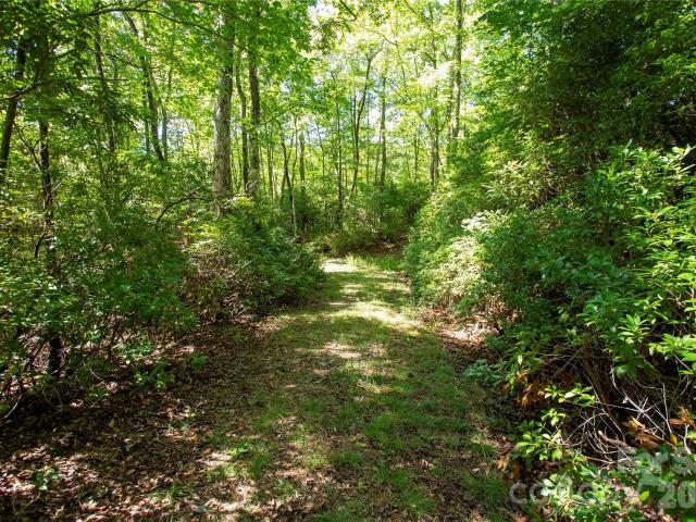 Land for sale in Rosman, Transylvania County