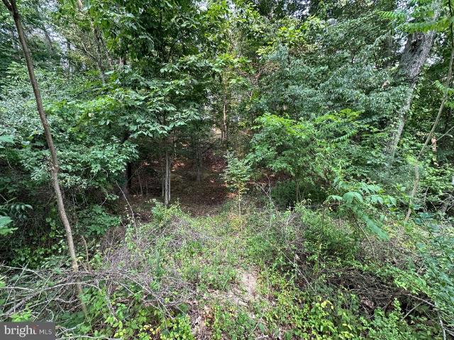 Land for sale in Virginia