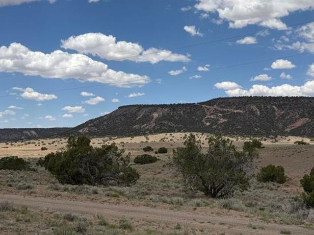 Land for sale in Catron, New Mexico