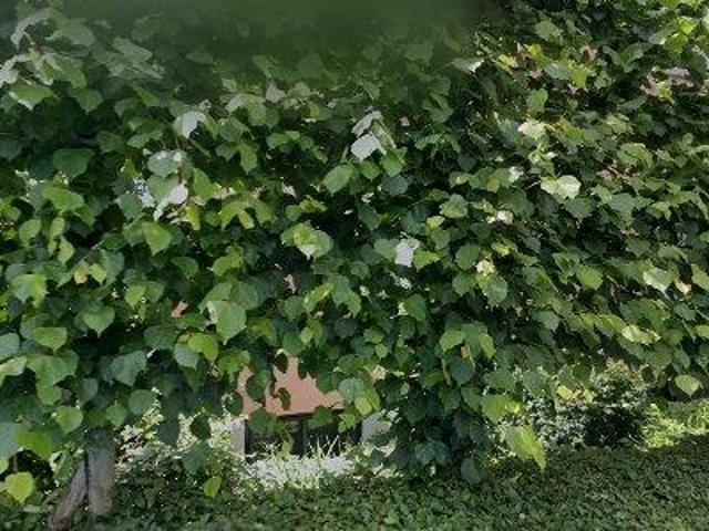 Appartement te huur in Doorn, Utrecht