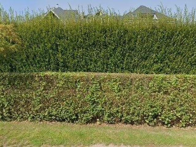 Appartement location à Verviers, Wallonie