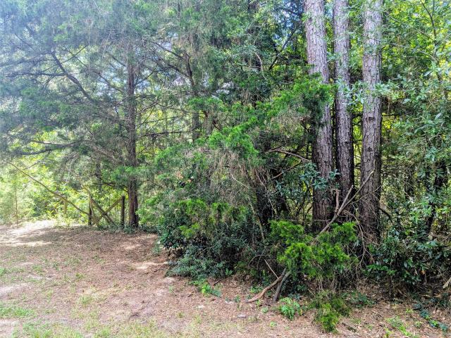 Land for sale in Polk, Texas