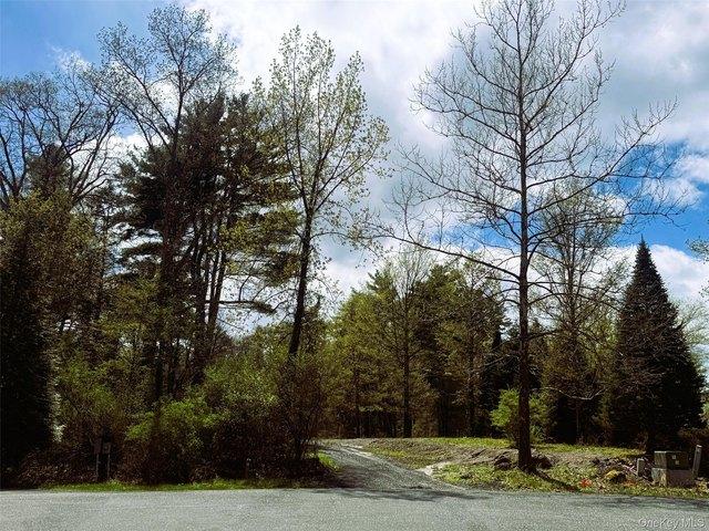Land for sale in Kingston, New York