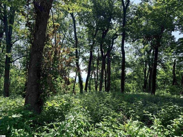 Land for sale in Landrum, South Carolina