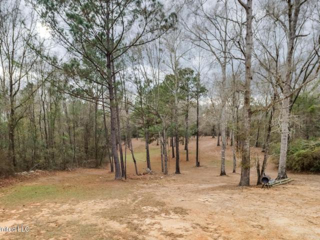 Property for sale in Wiggins, Mississippi