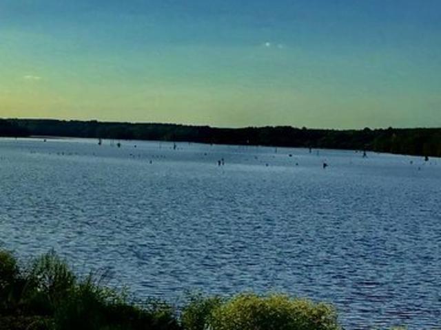 Land for sale in Farmerville, Louisiana