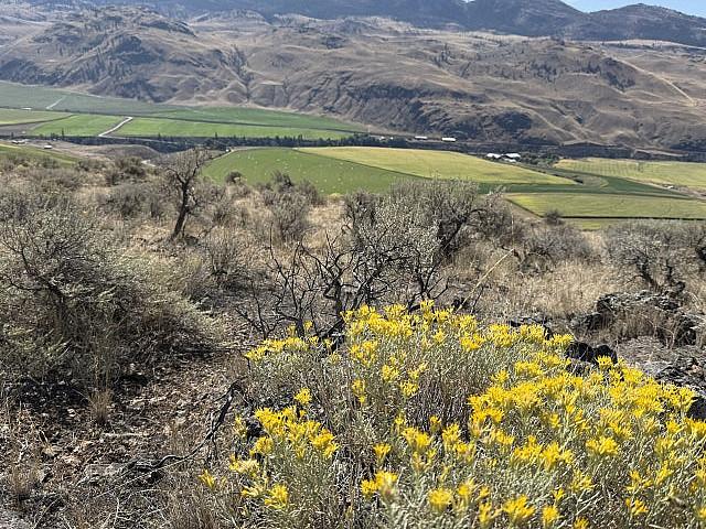 Land for sale in British Columbia