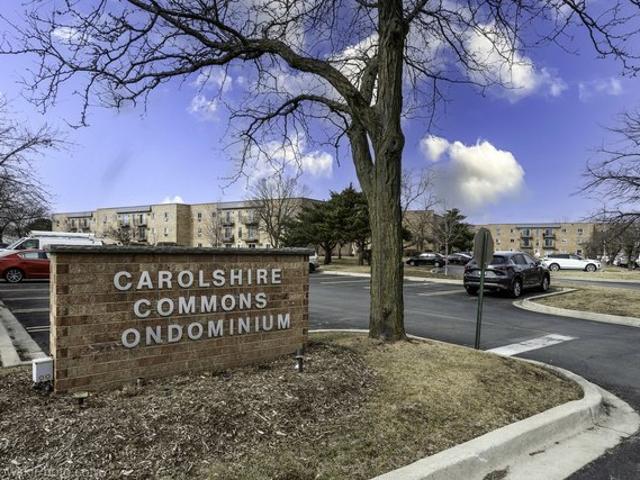Condo for sale in Carol Stream, Illinois