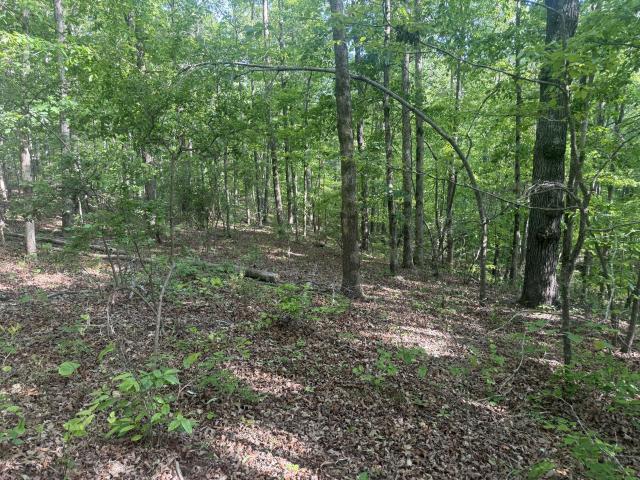 Land for sale in Tennessee