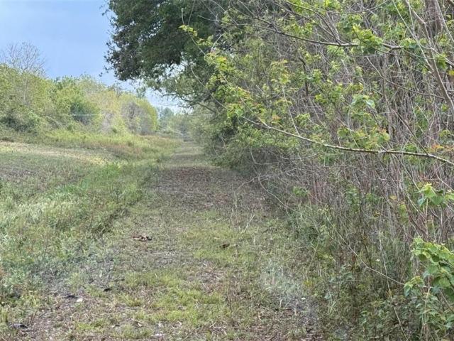 Land for sale in Davant, Louisiana