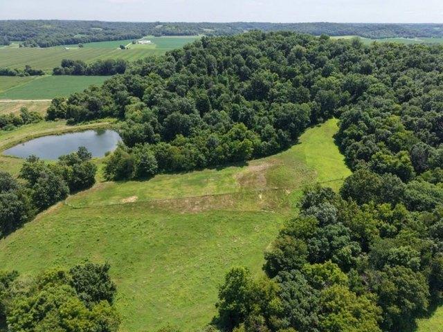 Land for sale in Pike, Illinois