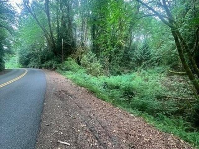 Land for sale in Lakebay, Washington