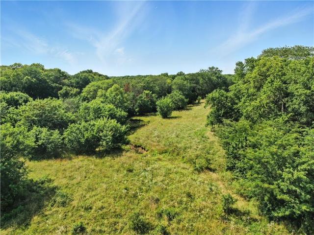Land for sale in Braymer, Missouri