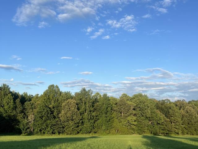 Land for sale in Tennessee