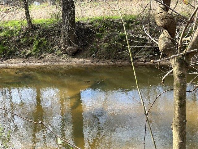 Land for sale in Alabama