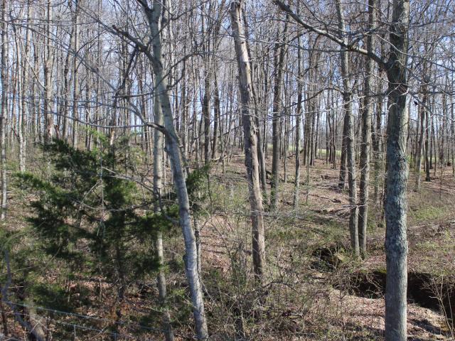 Land for sale in Cynthiana, Kentucky