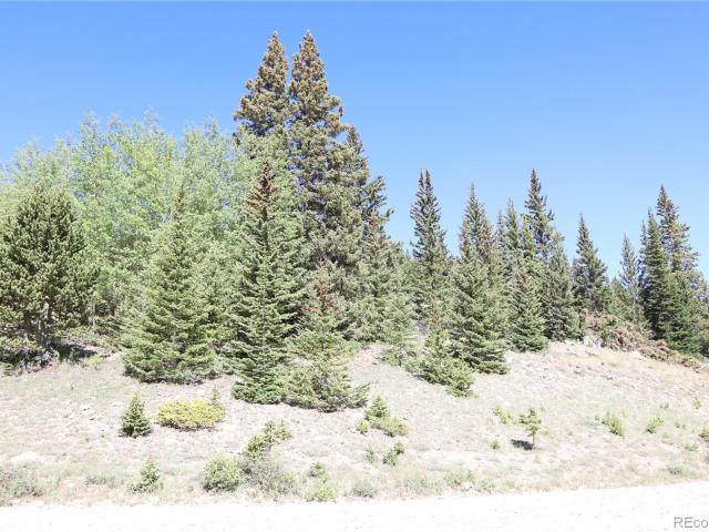 Land for sale in Fairplay, Colorado