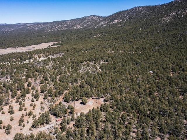 Land for sale in Vallecitos, Rio Arriba County