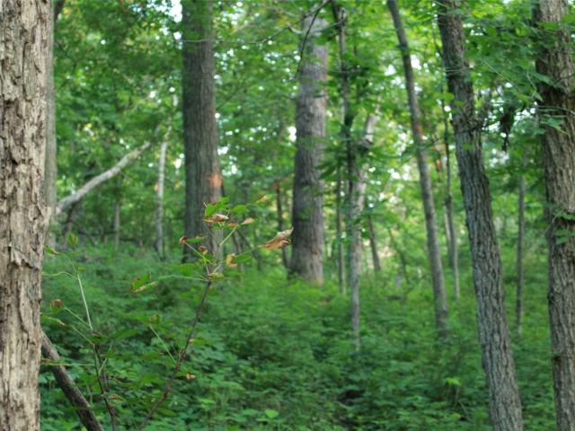 Land for sale in Osceola