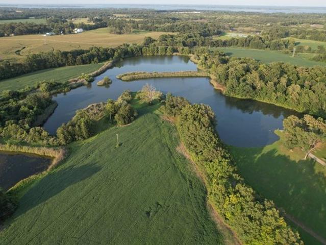 Land for sale in Sesser, Illinois