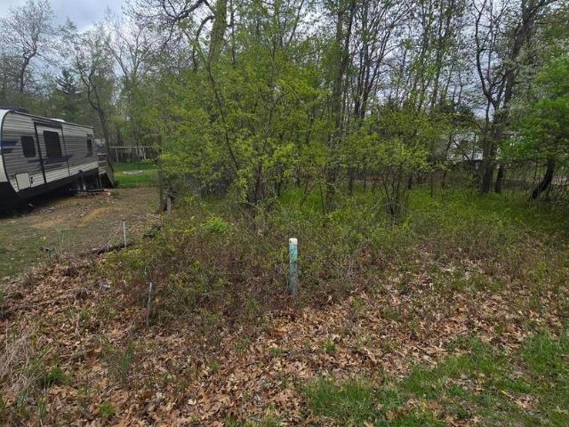 Land for sale in Sublette, Illinois