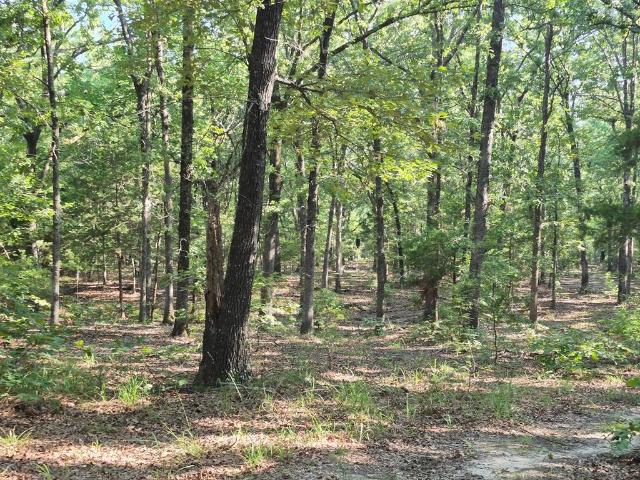 Land for sale in Lamar, Texas