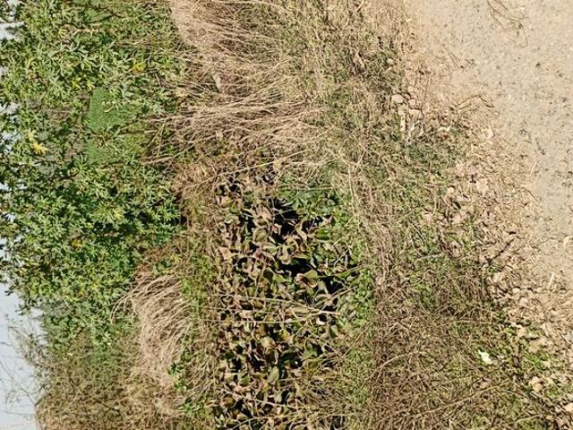 Land for sale in Hariana