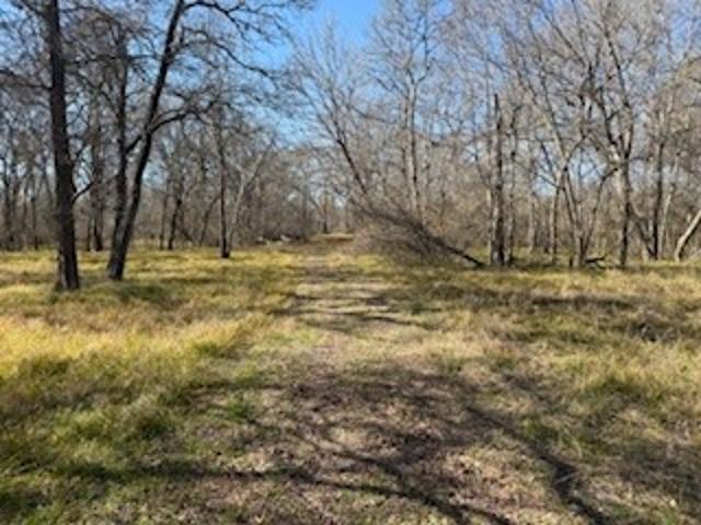 Land for sale in Needville, Texas