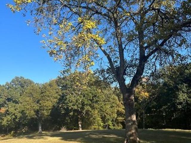 Land for sale in Tennessee