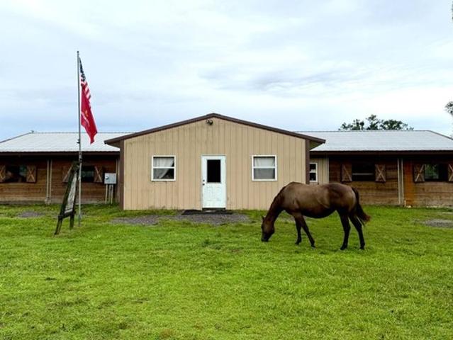 Farm for sale in Webster, Florida