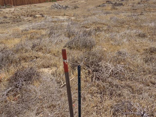 Land for sale in Lost Hills, California
