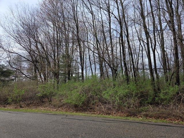 Land for sale in Gowen, Michigan