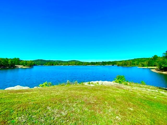 Land for sale in Farewell, Green Forest