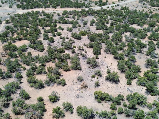 Land for sale in Catron, New Mexico