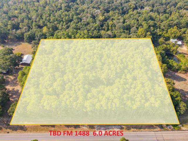 Land for sale in Magnolia, Texas