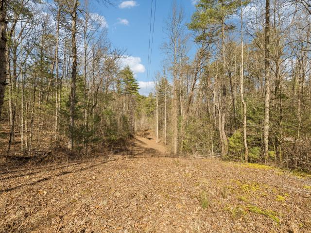 Land for sale in Tennessee