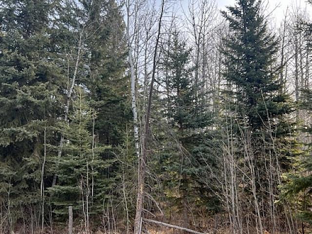 Land for sale in Alberta
