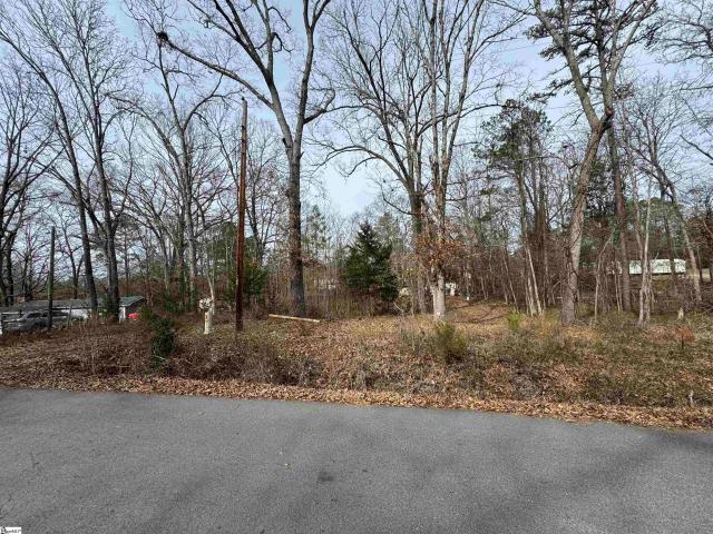 Land for sale in Waterloo, South Carolina