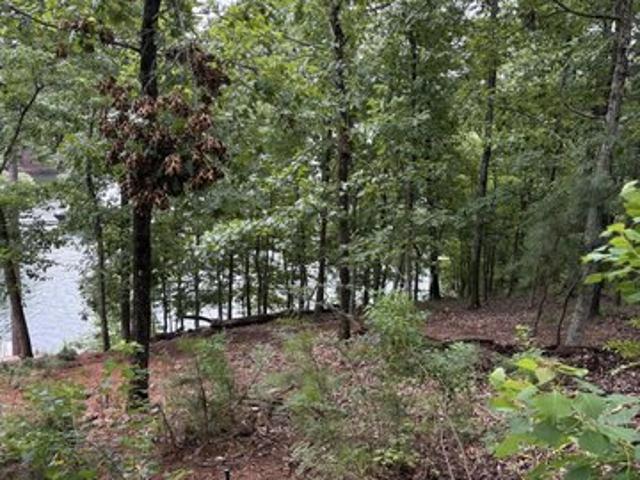 Land for sale in Tallapoosa, Alabama