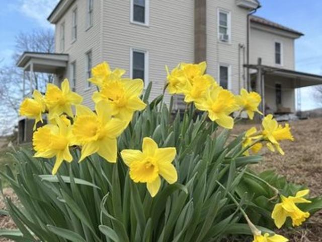 House for sale in Rebuck, Pennsylvania