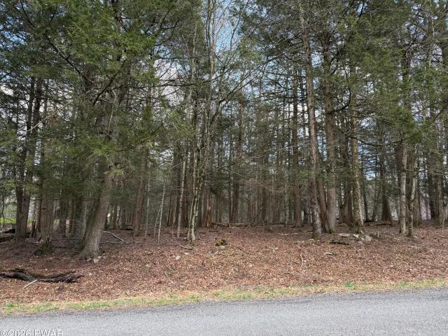 Land for sale in Hamlin, Pennsylvania